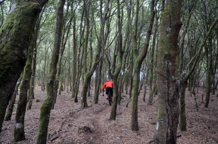Madeira Enduro Meeting 2018 Portugal (22)