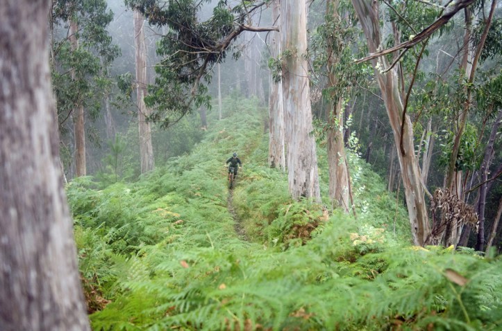 Madeira enduro meeting Funchal Machico (15)