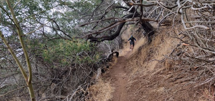 Madeira enduro meeting Funchal Machico (26)